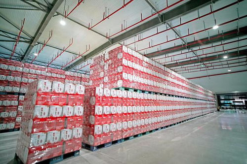 雪花啤酒涼山工廠竣工，開啟高質量發(fā)展新征程